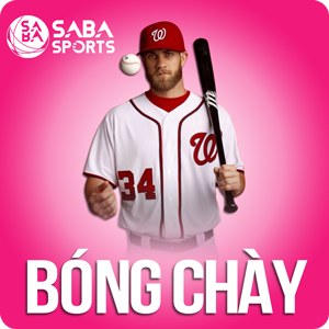 bong chay bong88 ibet