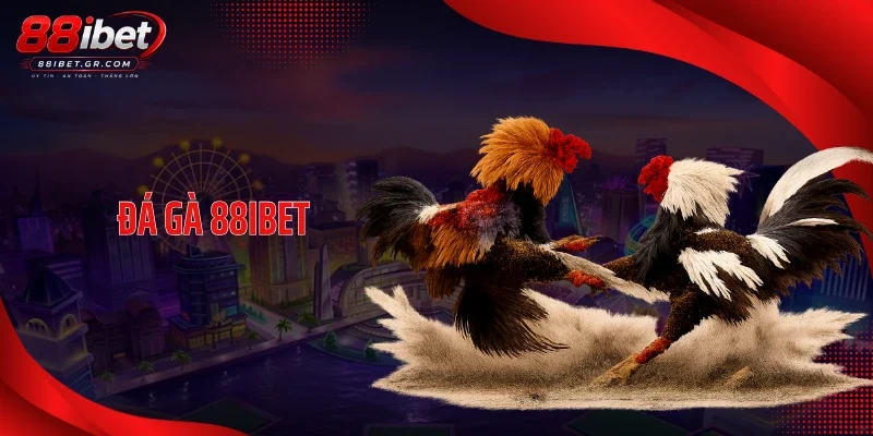 Đá Gà 88IBET - Theo Dõi Lịch Thi Đấu Và Dữ Liệu Cực Chi Tiết 